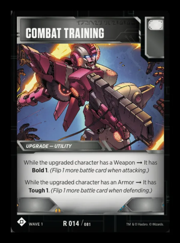 Combat Training