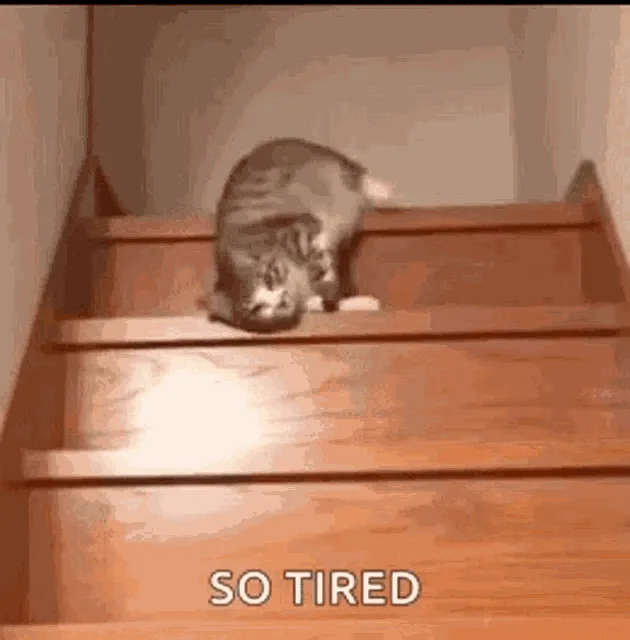 So tired
