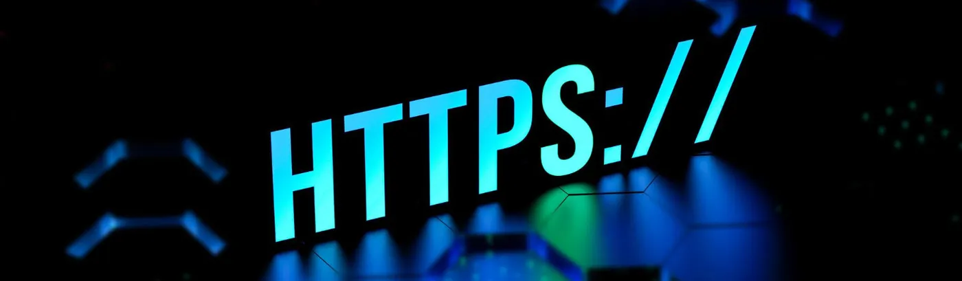 The website