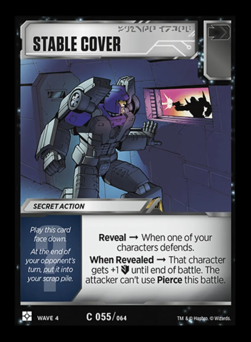 Stable Cover